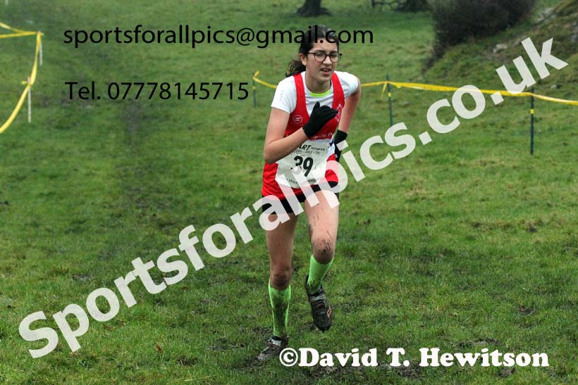 Girls under-15s, NECAA Junior Cross Country Relays, Thornley Farm, Peterlee, Saturday, December 12th. Photo: David T. Hewitson/Sports for All Pics